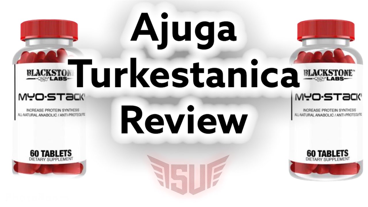 Turkestanica (turkesterone), Blackstone labs Myostack Review