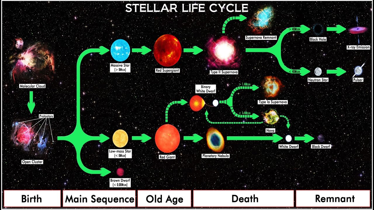 Star Classification and Stellar Life Cycle
