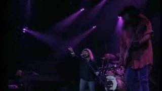 Video thumbnail of "Lynyrd Skynyrd-We Aint Much Different-1997"