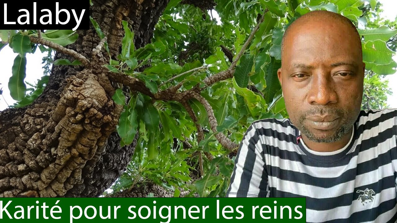 Lalaby. Les vertus du « Chi » Karité. Soigner les reins