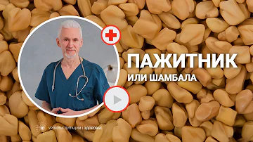 ПАЖИТНИК ИЛИ ШАМБАЛА: в чем сила мистической специи?