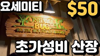 Yosemite Mountain Lodge for $50! Full Tour!