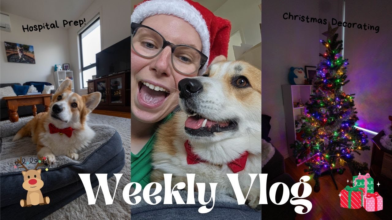 Еженедельный видеоблог: украшение дома к Рождеству и подготовка к гастроскопии и колоноскопии.