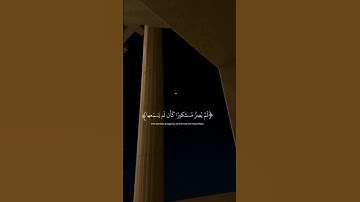 من سوره الجاثية للقارئ الشيخ ياسر الدوسري #اكسبلور #لايك #دويتو القرآن الكريم