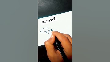Tayyab Name signature