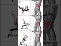 Target the abs three main muscles and get six packs by doing these easy workouts