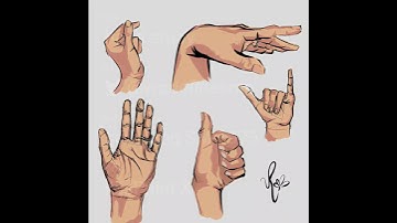 timelapse - hand study