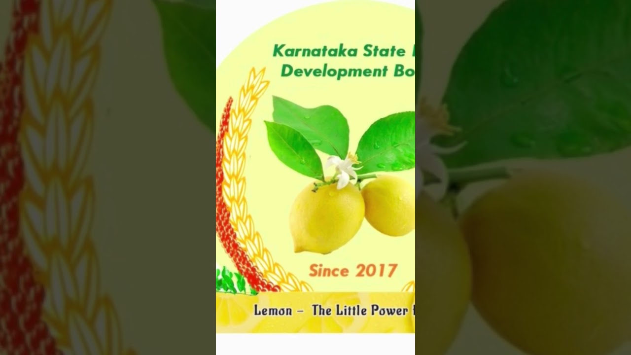 History of Lemon and GI Tag 06