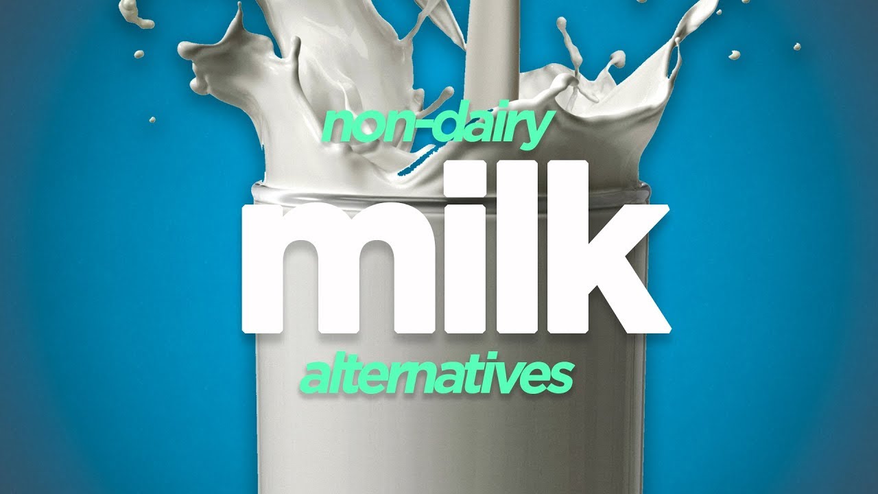 Which Non Dairy Milk Is Best YouTube
