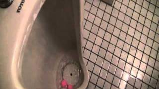 男性用小便器（フラッシュバルブ）水止め20101113.MPG