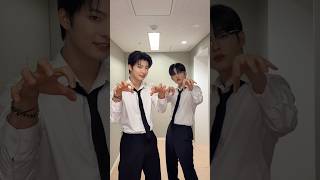 Grrr😖 Esperando vocês nos shows no Brasil! Preparados? 🇧🇷🐱 #우노 #시온