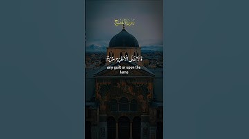 ليس على الأعمى حرج.. #ياسر_الدوسري #ريحانة_قرآن #قرآن #تلاوة_خاشعة #راحة_نفسية #quran #سورة_الفتح