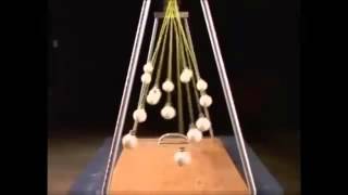 Amazing Pendulum Waves