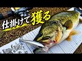 6月の琵琶湖陸っぱりでアツい釣り『フローティングミノー編』