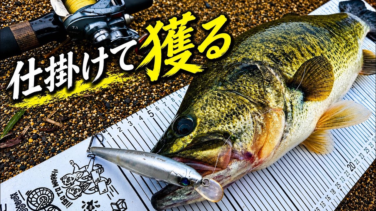 Exciting fishing from the shore of Lake Biwa in June: Floating