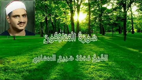 #تجويد_المنشاوي #سورة_المنافقون بصوت الشيخ محمد صديق المنشاوي تجويد جودة عالية (63)