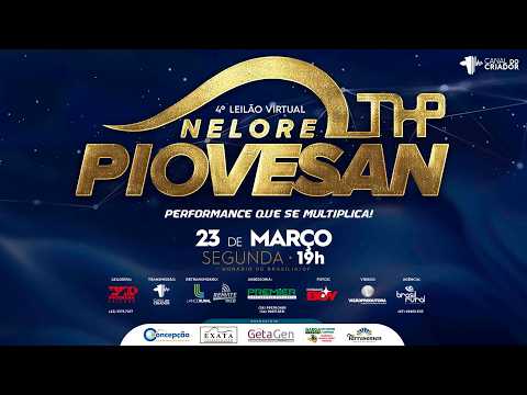 LOTE 101   HENGEL FIV TLBF   TLBF 51