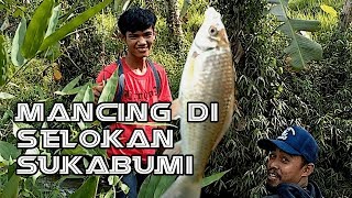 MANCING IKAN WADER, BEUNTEUR ada nilem nya, di sukabumi kaki gunung salak