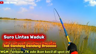 WGM Spot A1, Catching Fish is So Easy Here: This Spot Has Huge Fish