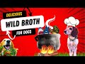 Wild broth for senior dog health  broth recipe for senior dog joint health