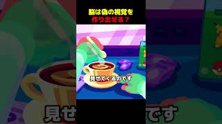 脳は偽の視覚を作り出せる?