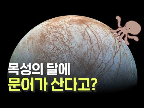NASA에 따르면 유로파에 생명체가 있을 확률이 상당히 높다고 합니다!