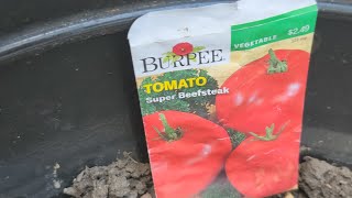 Why Hydroponics? The Ultimate Beginner’s Guide (Pros, Cons & How-To!)