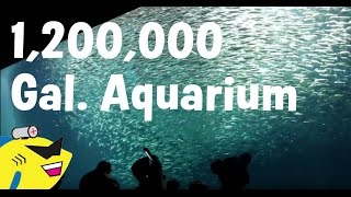 monterey bay aquarium wikivisually