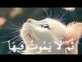 Al Baqara Islam Sobhi Surah Al Baqara سورة البقرة ١ كاملة للقارئ اسلام صبحى زﯶ Al Baqara Islam Sobhi Surah Al Baqara سورة البقرة ١ كاملة للقارئ اسلام صبحى زﯶ