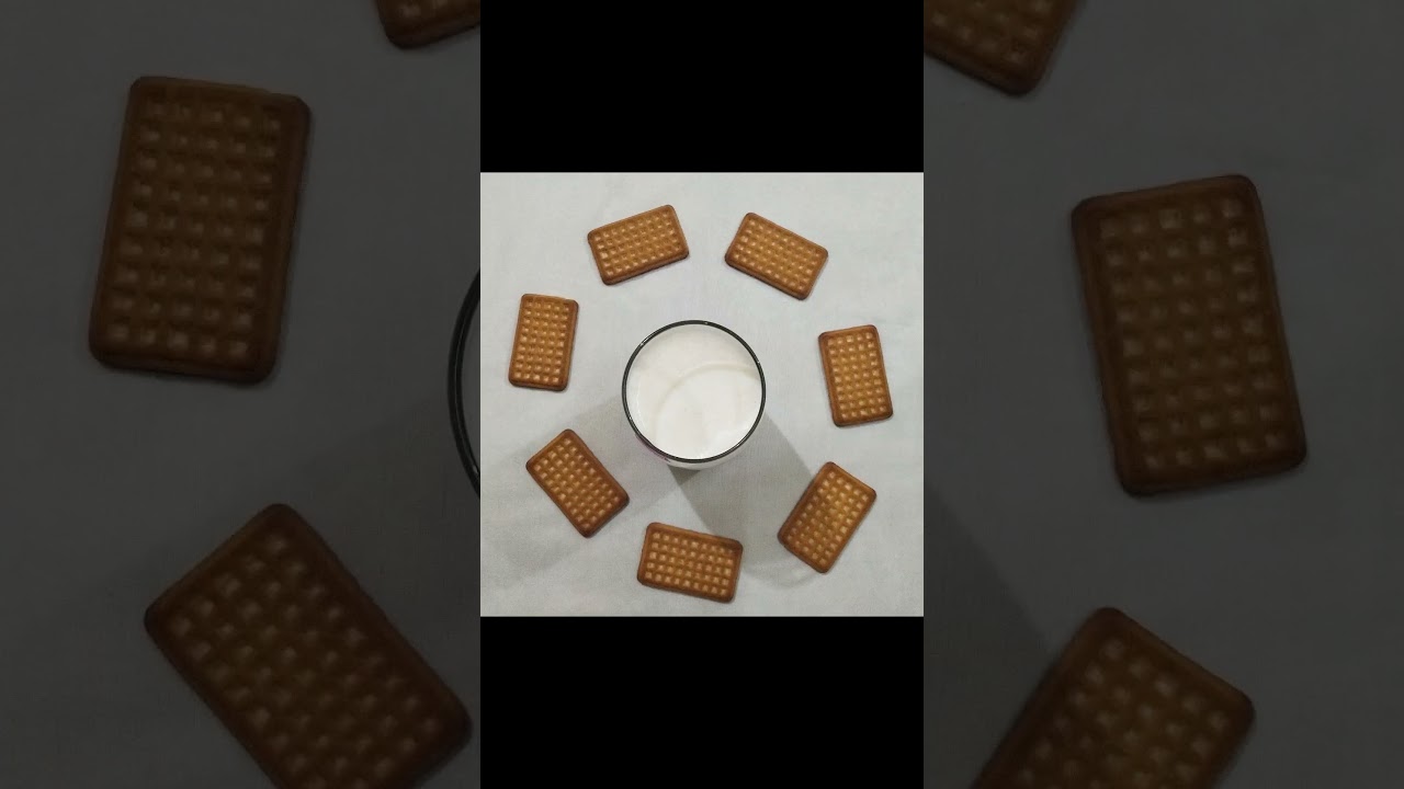 DUNK and EAT biscuits | Stop Motion Animation