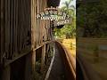 ทางเดินเลียบคลองแม่ข่า part7 (ถนนอัษฎาธร ขาไป) MaeKha canel trail #shorts #chiangmai