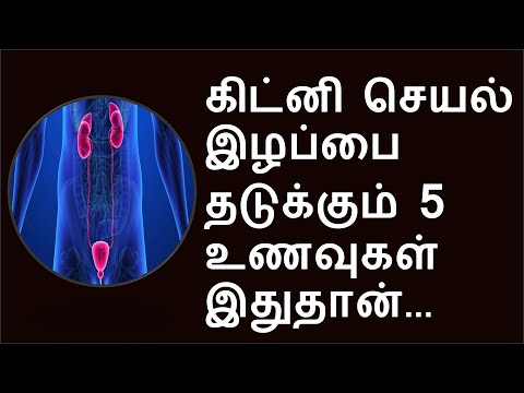 கிட்னி செயல் இழக்க முக்கிய காரணம் இதுதான் தெரியுமா? |  kidney care foods.