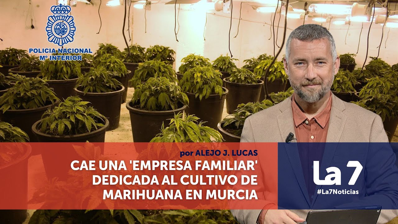 Cae una 'empresa familiar' dedicada a la marihuana | La 7
