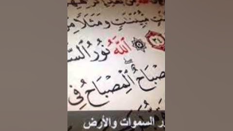 القارئ اسامه ناصر فلسطين تلاوه خاشعه سورة ق✅Samar hamed
