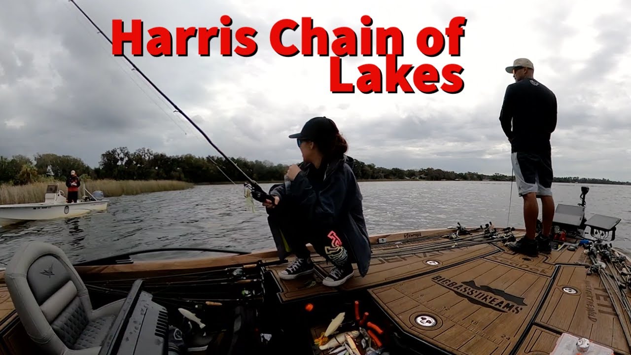 Florida Bass Fishing Harris Chain of Lakes YouTube