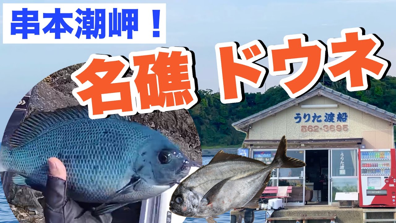 2025年5月5日、串本潮岬うりた渡船【名礁ドウネ】磯釣り釣行！