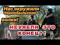 Убегаем от волков на пруду-охладителе ЧАЭС. Смотреть до конца! Поход в Припять2020. Bushcraft