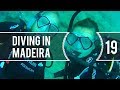 Sailing Around The World - Diving In Madeira - Living With The Tide - Ep19
