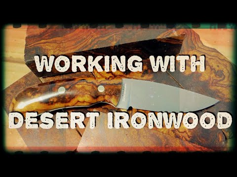 Video: ¿Cómo encuentras Ironwood en el desierto?