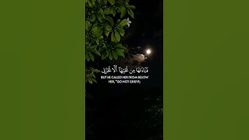فناداها من تحتها ألا تحزني قد جعل ربك تحتك سريا | سورة مريم 🍁 القارئ شريف مصطفى #القرآن_الكريم