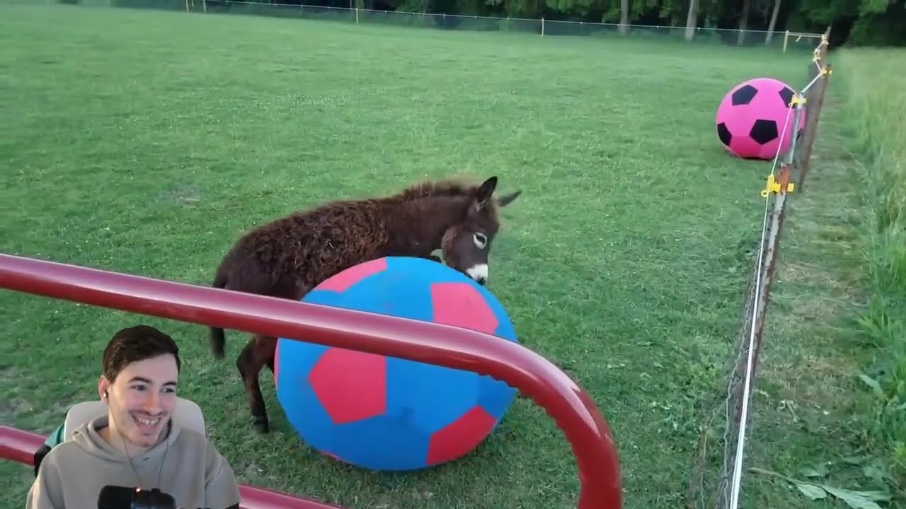 Pelis que vi esta semana (The Rip), Logopedia, Chat GPT tendrá ADs... | Just Chatting | 19 Enero