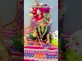कितना प्यारा है श्रृंगार 🌸 #shyamkripa #shyam #laddu #radheshyam #viral #trending #shortsfeed #love