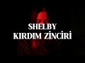 Shelby Kırdım Zinciri 