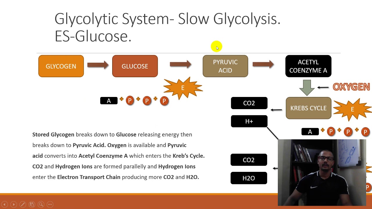 SAMPLE VIDEO: "STRENGTH AND CONDITIONING" CERTIFICATION.: Bioenergetics Energy Systems.