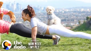 How To Workout With Your Dog | The Dodo You Know Me Now Meet My Pet