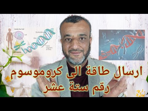 جلسة ارسال طاقة الى كروموسوم رقم 16 بالطاقة عن بعد لعلاج التلايسميا وحمى البحر المتوسط واضطراب Adhd 
