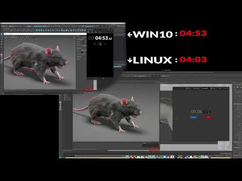 LINUX VS WINDOWS RENDER TEST
