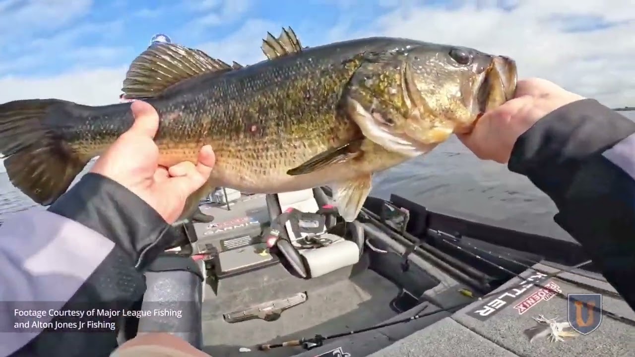 Stop Missing Big Bass: Alton Jones Jr's MUST-KNOW Spinnerbait Secrets!