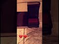 قصص ولطائف عن العميان وذكائهم وبعض ما كتب عنهم