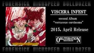VISCERA INFEST ゴアグラインド奇形児柄 VISCERA INFEST:PARACO〜/split cd | RECORD SHOP CONQUEST